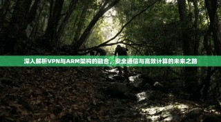 深入解析VPN与ARM架构的融合，安全通信与高效计算的未来之路