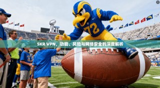 SKR VPN，功能、风险与网络安全的深度解析