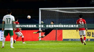 绿叶VPN充值指南，安全、合规使用网络服务的正确方式