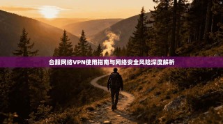 台服网络VPN使用指南与网络安全风险深度解析