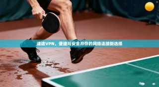 速途VPN，便捷与安全并存的网络连接新选择