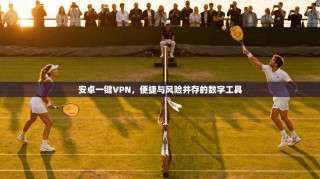 安卓一键VPN，便捷与风险并存的数字工具
