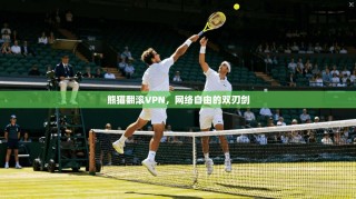 熊猫翻滚VPN，网络自由的双刃剑