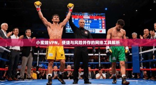 小蜜蜂VPN，便捷与风险并存的网络工具解析