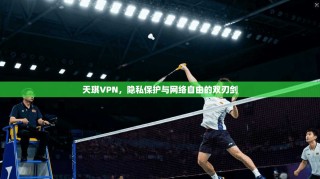 天琪VPN，隐私保护与网络自由的双刃剑