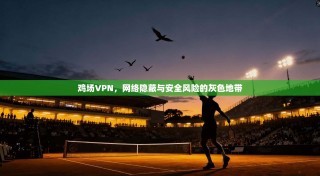 鸡场VPN，网络隐蔽与安全风险的灰色地带