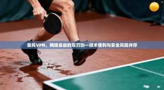吾风VPN，网络自由的双刃剑—技术便利与安全风险并存