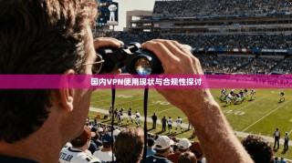 国内VPN使用现状与合规性探讨