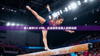 深入解析CD VPN，企业级安全接入的新选择