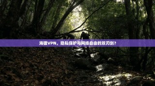 海狸VPN，隐私保护与网络自由的双刃剑？