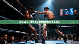 小兔VPN，便捷与风险并存的网络工具解析