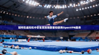 如何在虚拟机中安全高效地部署和使用OpenVPN服务