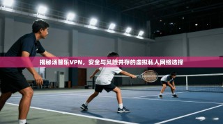 揭秘汤普乐VPN，安全与风险并存的虚拟私人网络选择