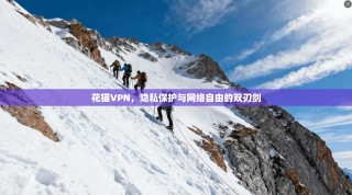 花猫VPN，隐私保护与网络自由的双刃剑