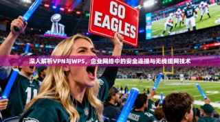 深入解析VPN与WPS，企业网络中的安全连接与无线组网技术