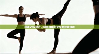 超速VPN官方，网络自由与安全的双重保障