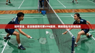 如何安全、合法地使用付费VPN服务，网络隐私与合规指南