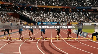 土拨鼠VPN，技术优势与隐私保护的深度解析
