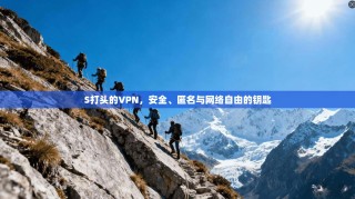 S打头的VPN，安全、匿名与网络自由的钥匙