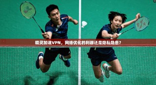 精灵加速VPN，网络优化的利器还是隐私隐患？