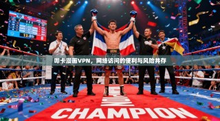 哔卡漫画VPN，网络访问的便利与风险并存