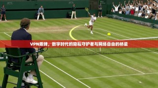 VPN盾牌，数字时代的隐私守护者与网络自由的桥梁