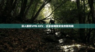 深入解析VPN-KCV，企业级网络安全的新利器