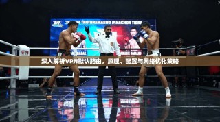 深入解析VPN默认路由，原理、配置与网络优化策略