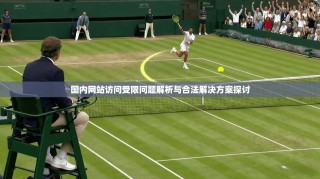 国内网站访问受限问题解析与合法解决方案探讨