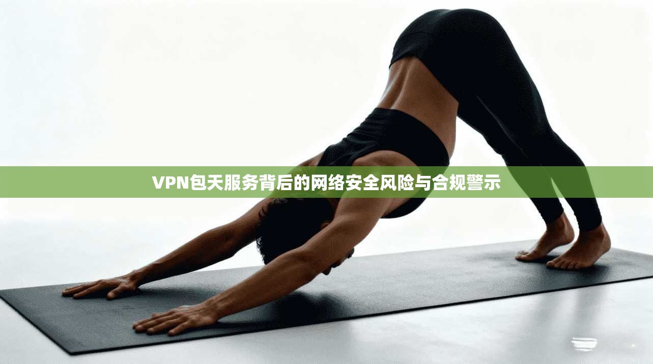 VPN包天服务背后的网络安全风险与合规警示  第1张