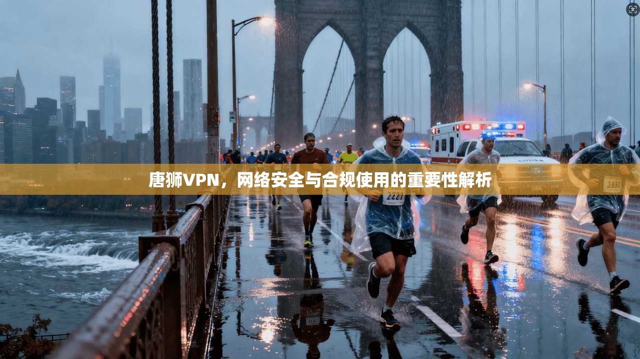 唐狮VPN,网络安全与合规使用的重要性解析 第1张 唐狮VPN,网络安全与合规使用的重要性解析 第1张