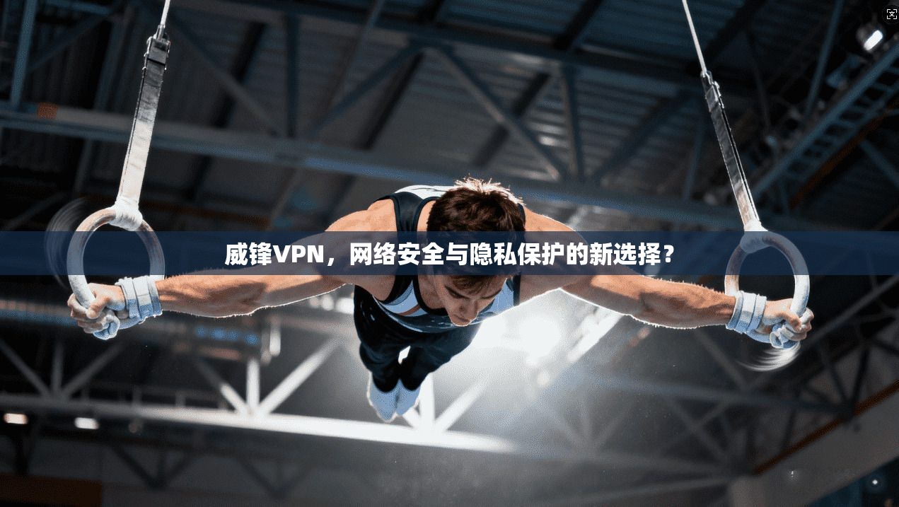 威锋VPN，网络安全与隐私保护的新选择？  第1张