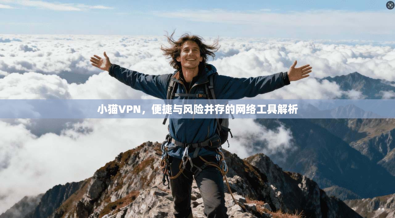 小猫VPN，便捷与风险并存的网络工具解析  第1张