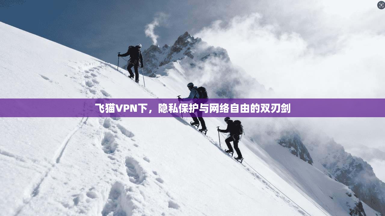 飞猫VPN下,隐私保护与网络自由的双刃剑 第1张 飞猫VPN下,隐私保护与网络自由的双刃剑 第1张