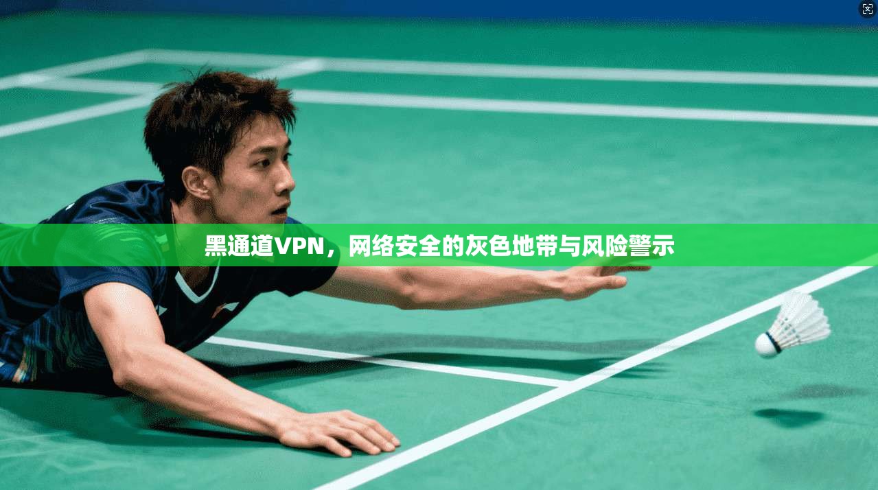黑通道VPN，网络安全的灰色地带与风险警示  第1张