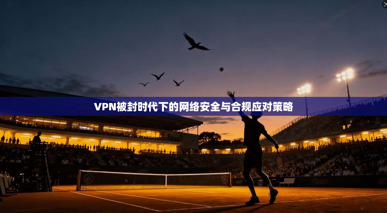 VPN被封时代下的网络安全与合规应对策略  第1张