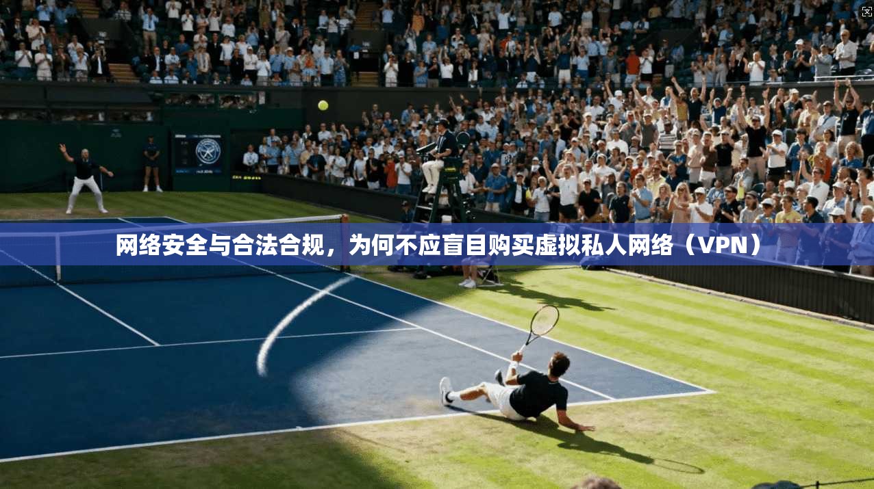 网络安全与合法合规,为何不应盲目购买虚拟私人网络(VPN) 第1张 网络安全与合法合规,为何不应盲目购买虚拟私人网络(VPN) 第1张