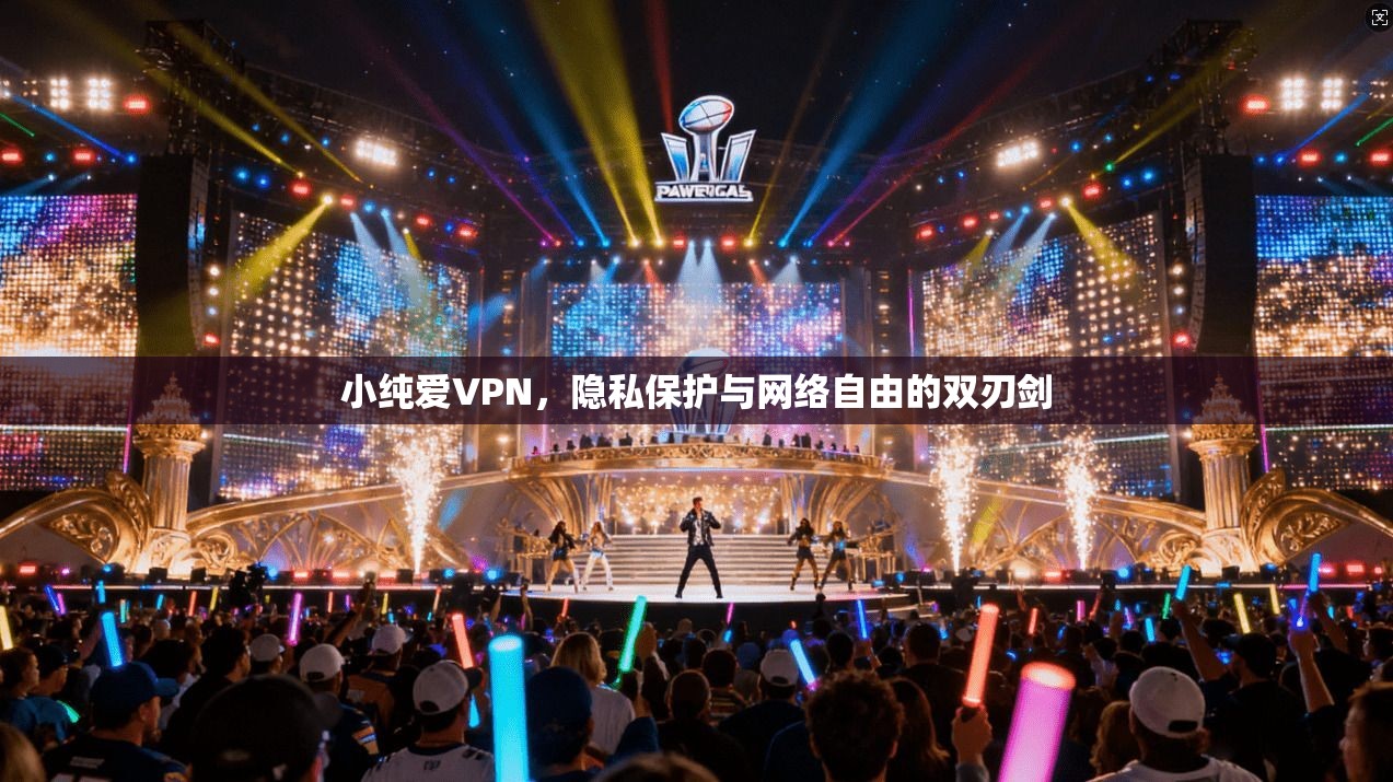 小纯爱VPN，隐私保护与网络自由的双刃剑  第1张