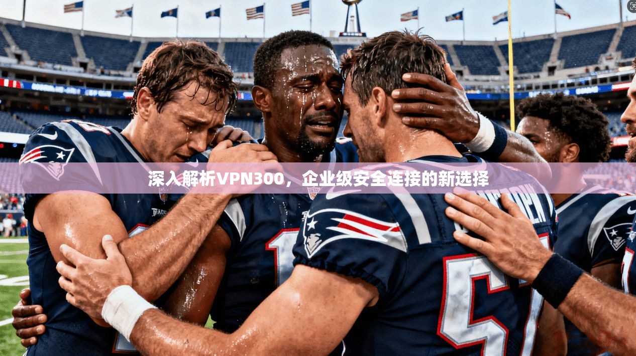 深入解析VPN300，企业级安全连接的新选择  第1张