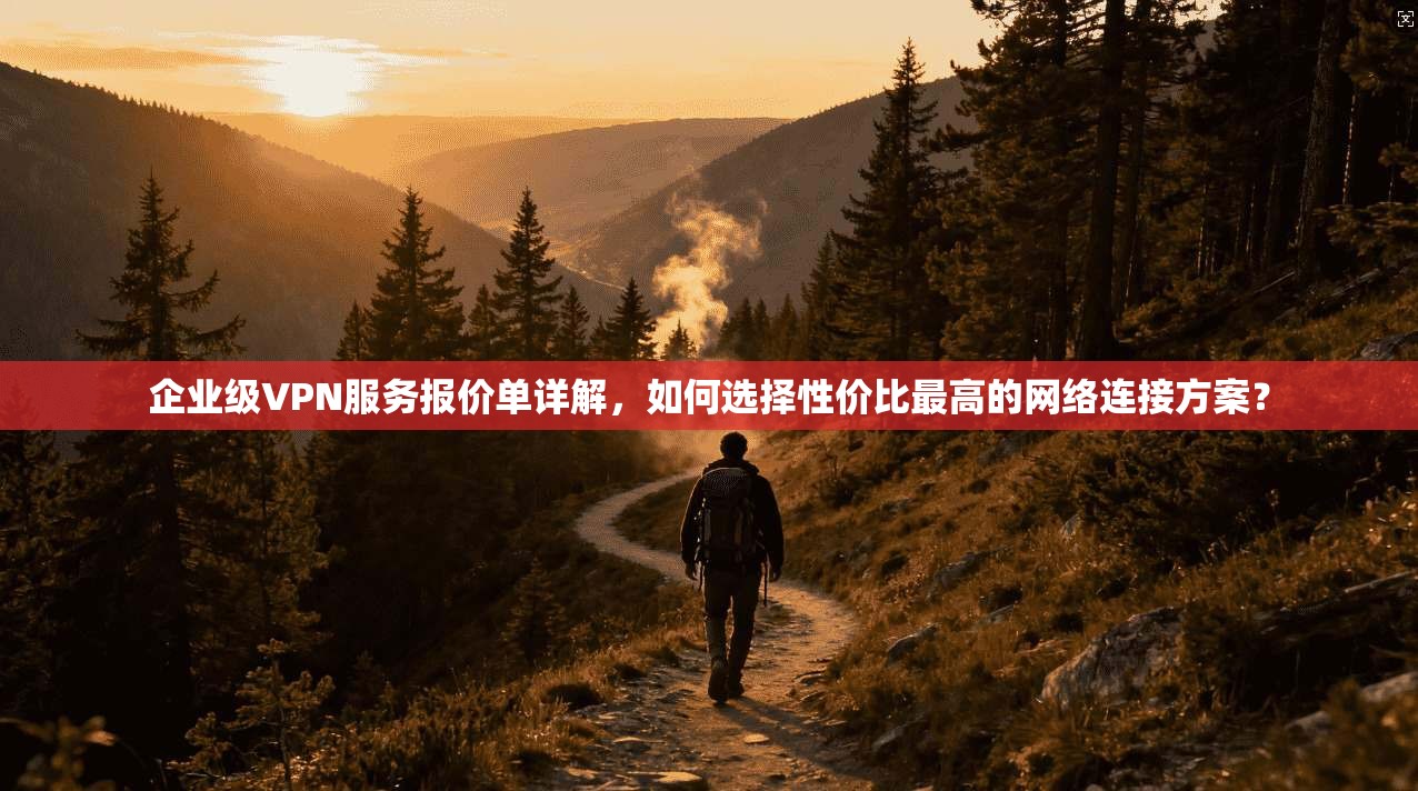 企业级VPN服务报价单详解，如何选择性价比最高的网络连接方案？  第1张