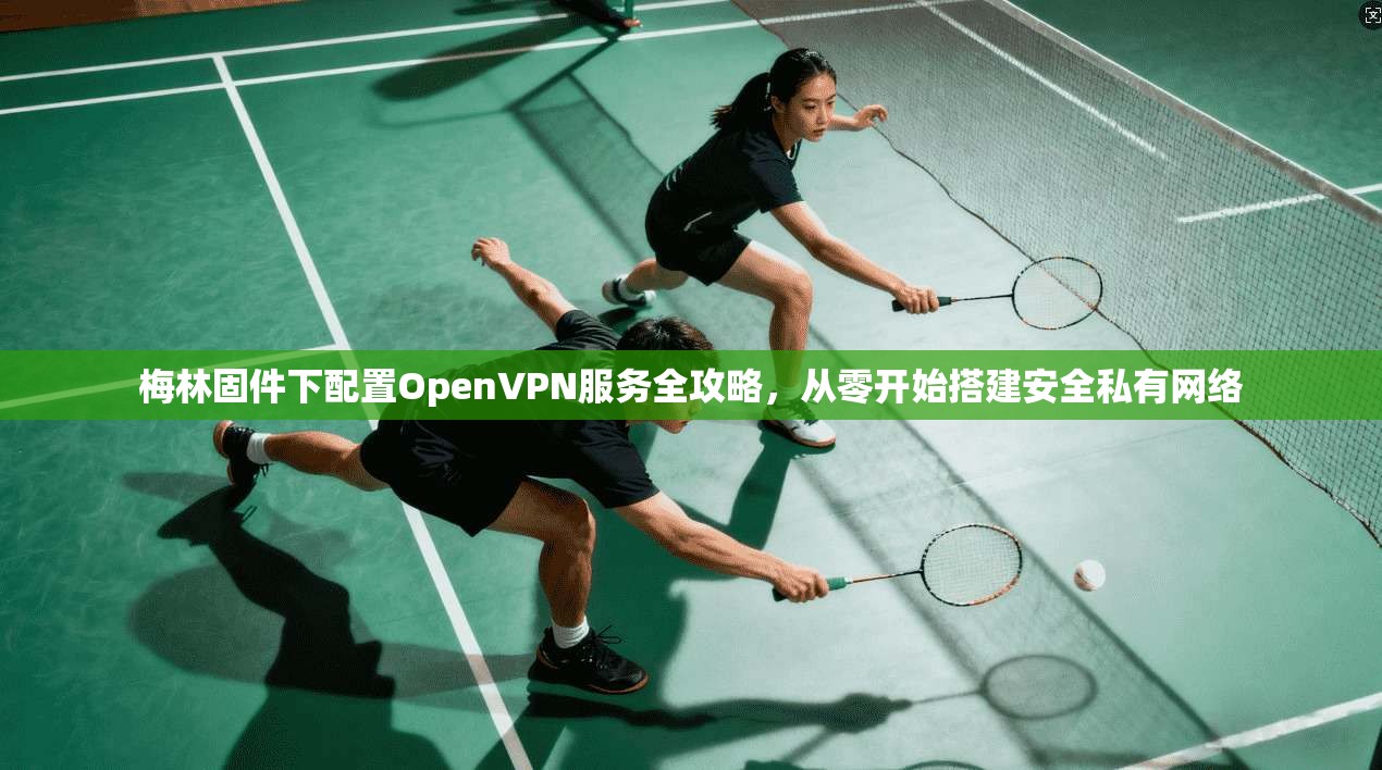 梅林固件下配置OpenVPN服务全攻略,从零开始搭建安全私有网络 第1张 梅林固件下配置OpenVPN服务全攻略,从零开始搭建安全私有网络 第1张