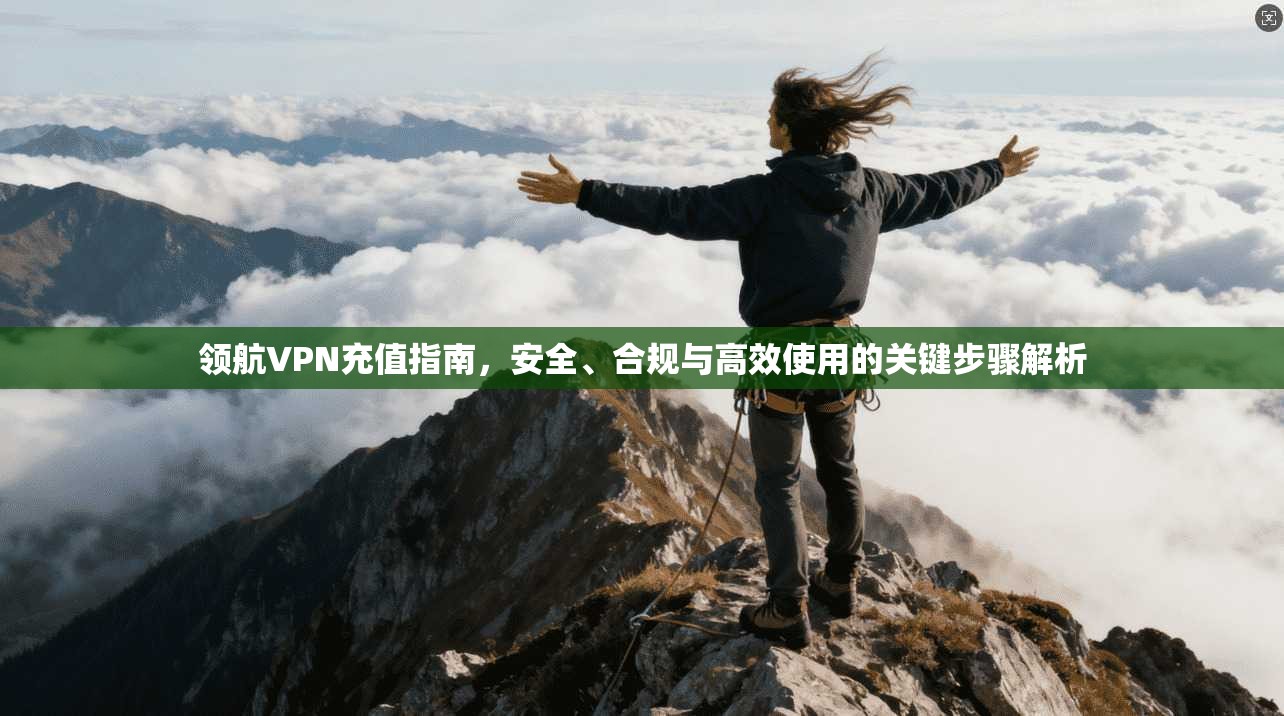 领航VPN充值指南,安全、合规与高效使用的关键步骤解析 第1张 领航VPN充值指南,安全、合规与高效使用的关键步骤解析 第1张