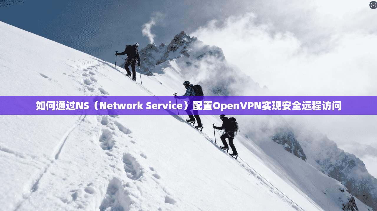 如何通过NS（Network Service）配置OpenVPN实现安全远程访问  第1张