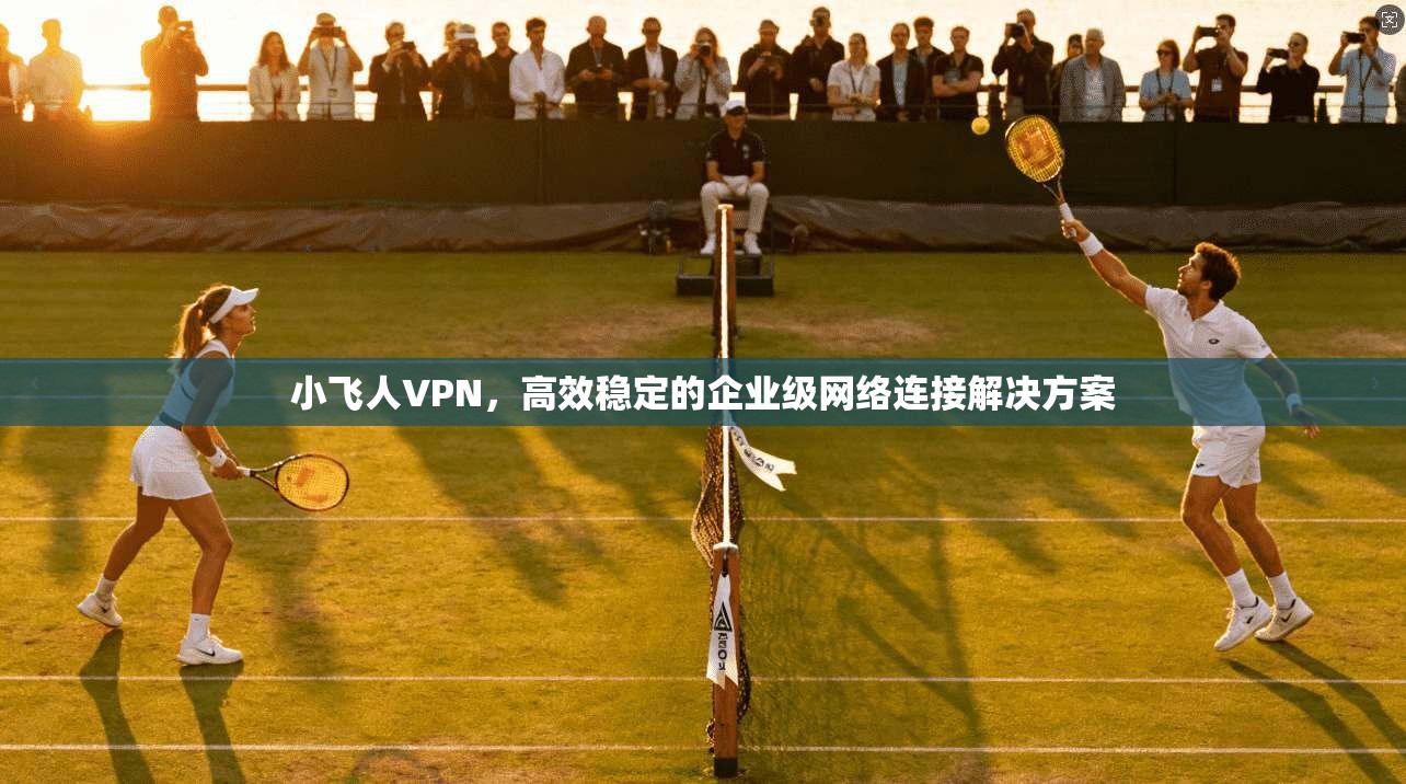 小飞人VPN，高效稳定的企业级网络连接解决方案  第1张