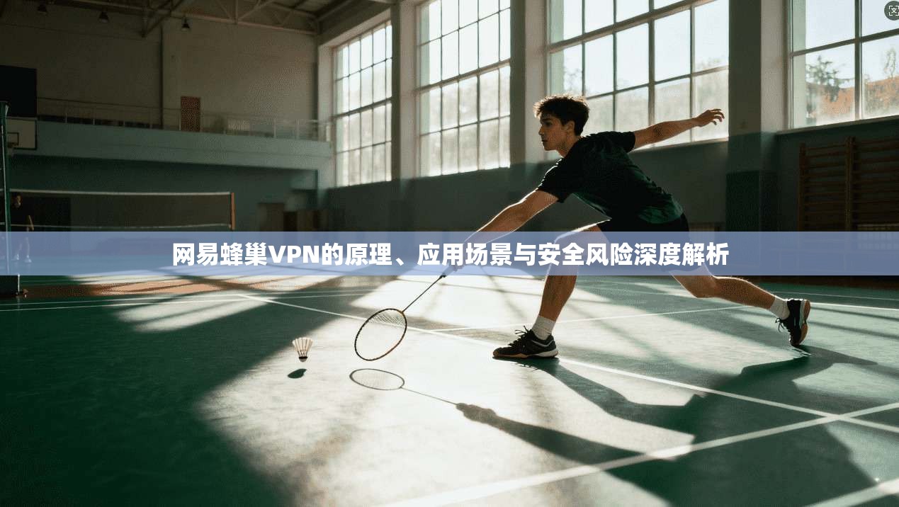 网易蜂巢VPN的原理、应用场景与安全风险深度解析 第1张 网易蜂巢VPN的原理、应用场景与安全风险深度解析 第1张