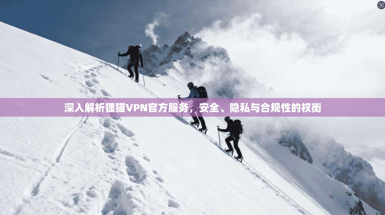 深入解析狸猫VPN官方服务，安全、隐私与合规性的权衡  第1张