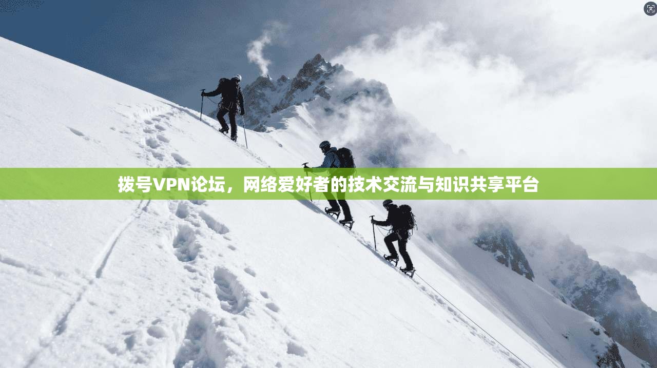拨号VPN论坛，网络爱好者的技术交流与知识共享平台  第1张