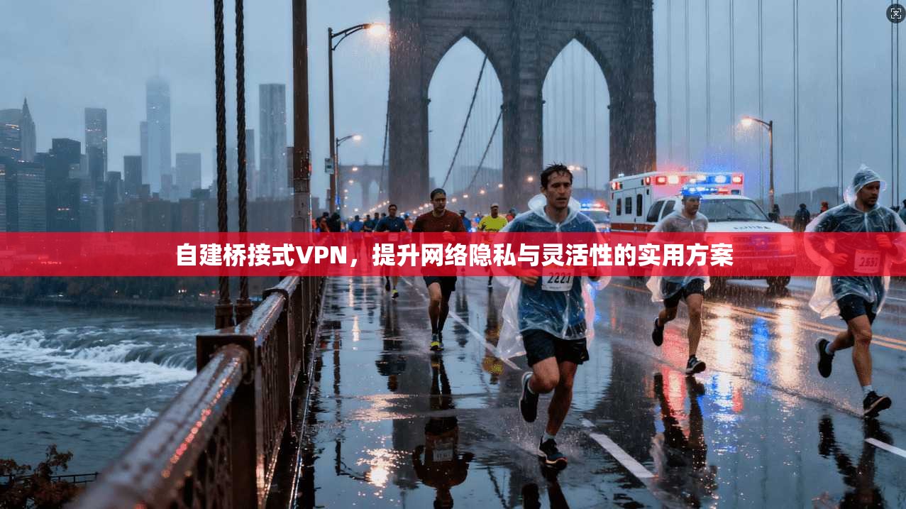自建桥接式VPN，提升网络隐私与灵活性的实用方案  第1张