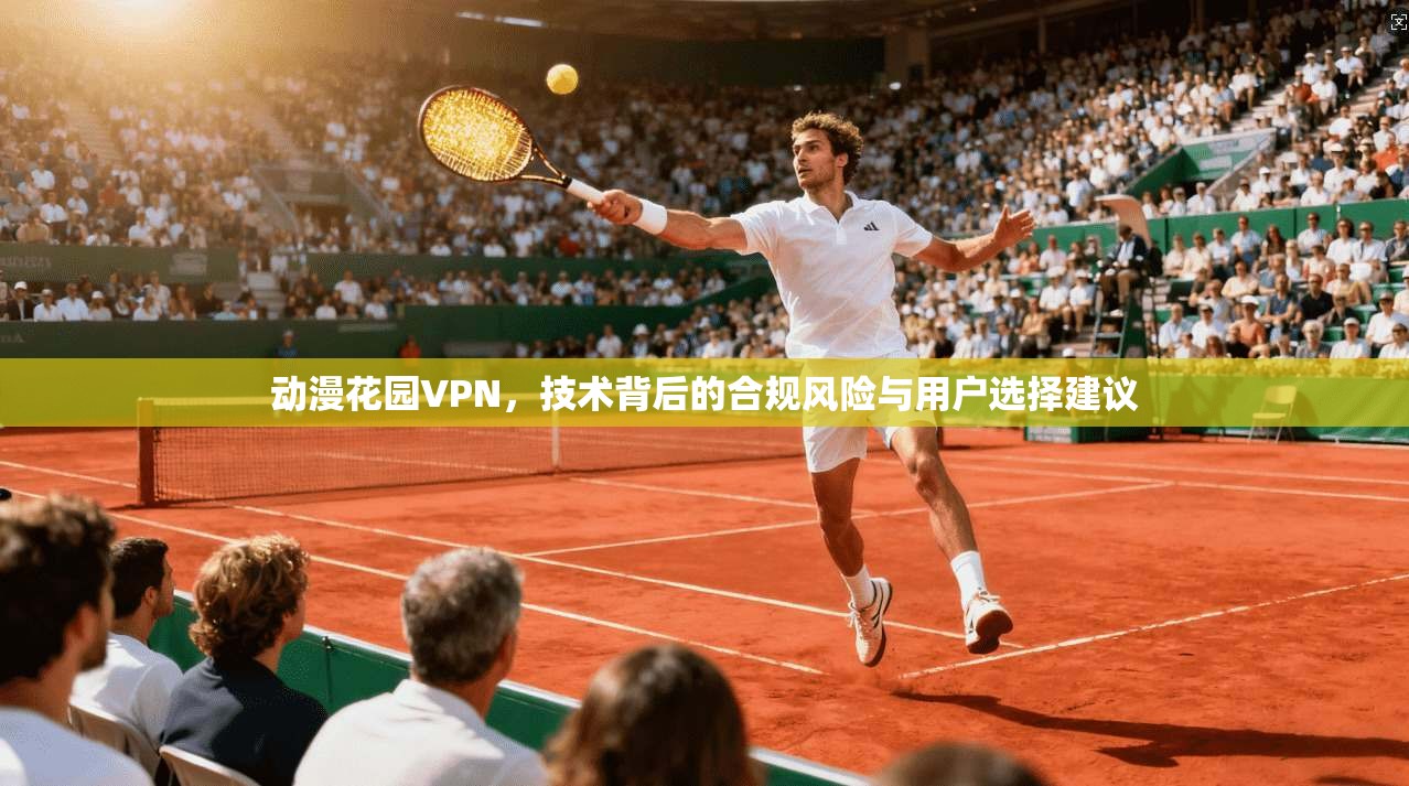 动漫花园VPN，技术背后的合规风险与用户选择建议  第1张
