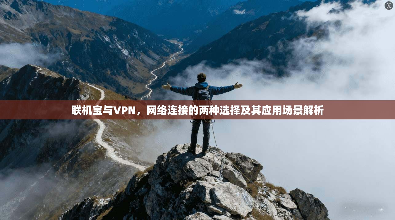 联机宝与VPN，网络连接的两种选择及其应用场景解析  第1张